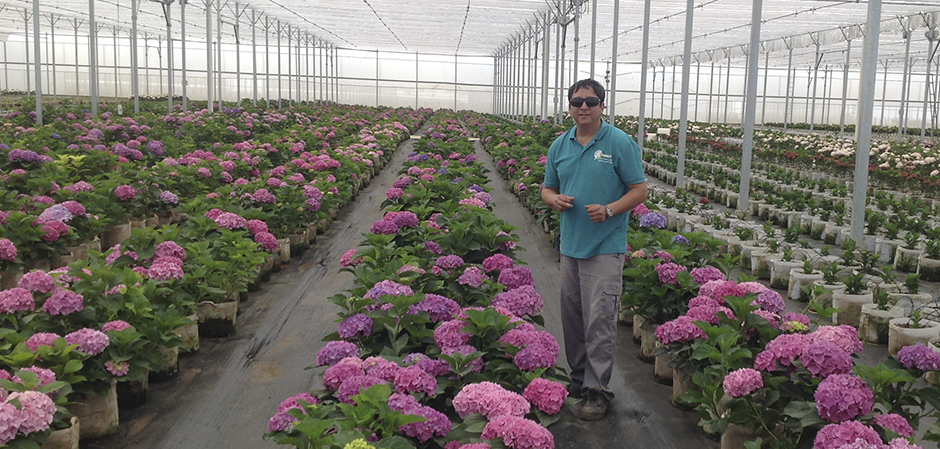 Yunnan Flowers Hall, China